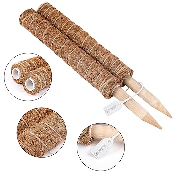 Amazon.com : Augshy Moss Pole, 27 Inch Moss Poles - 2Pcs 17